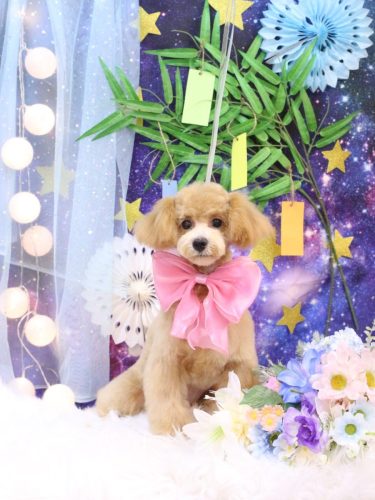 20250702むぎちゃん